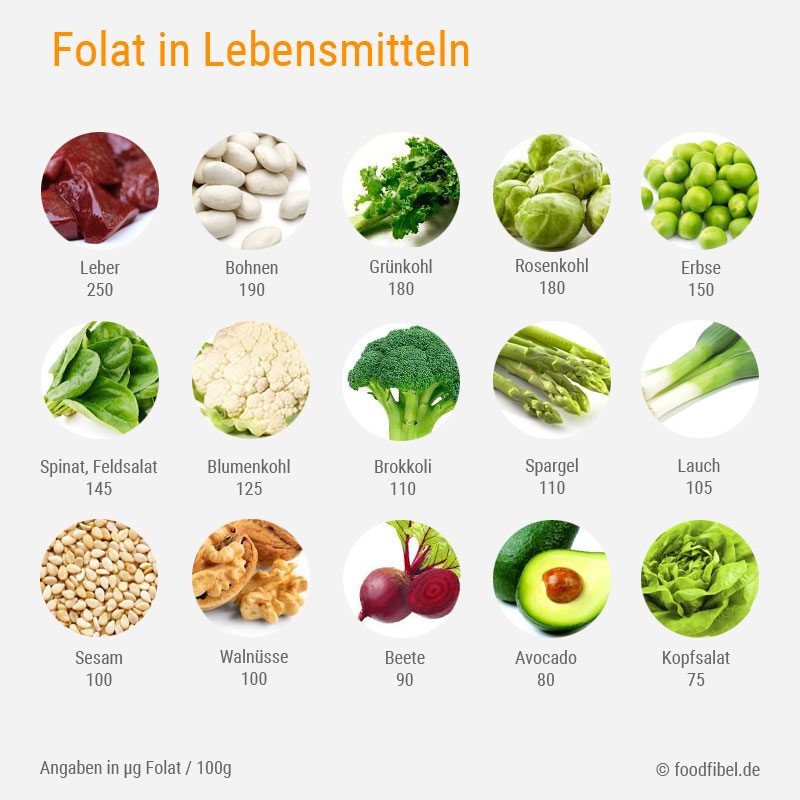 Abbildung: Vorkommen von Folat und Folsäure in Lebensmitteln. © foodfibel.de